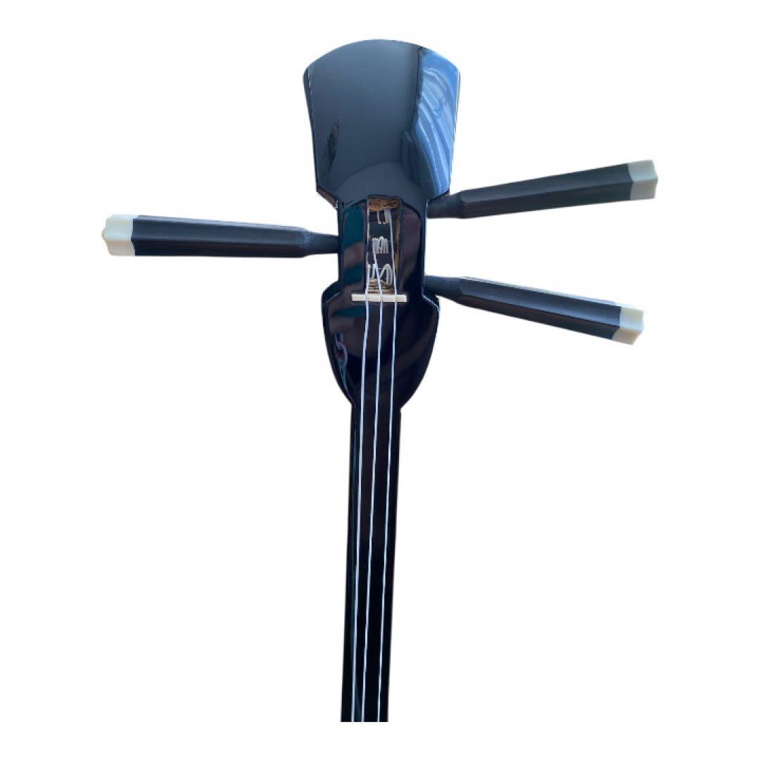 【美品】沖縄 三線 セット 専用ケース・爪付き 送料込み蛇柄　和楽器　蛇柄三線