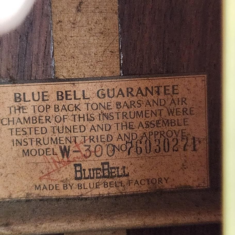 BLUEBELL W-300 アコースティックギター ブルーベル