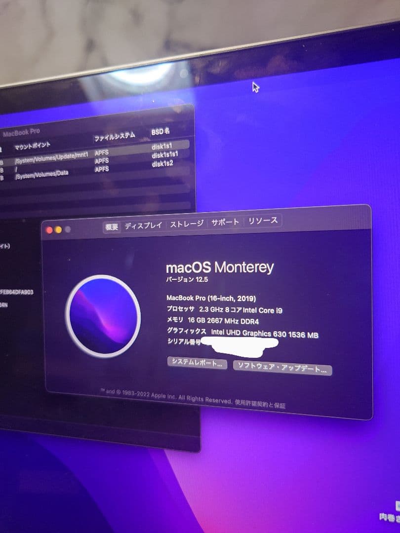 Macbookpro2019 カスタムモデル16inch i9/16G/1TB