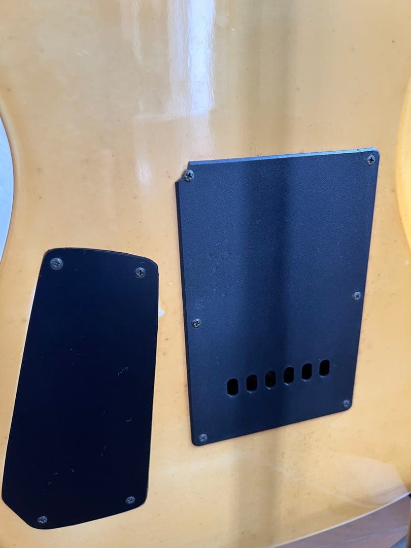 STRAINER JS SERIES エレキギター　音はでました