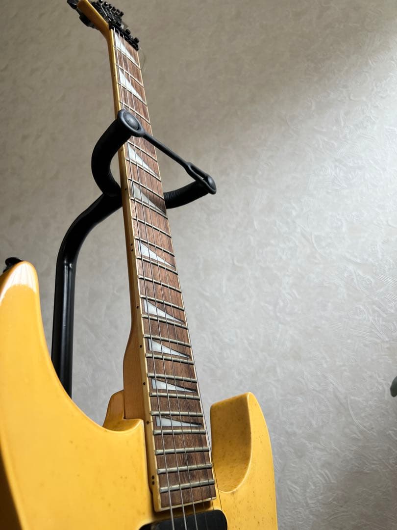 STRAINER JS SERIES エレキギター　音はでました