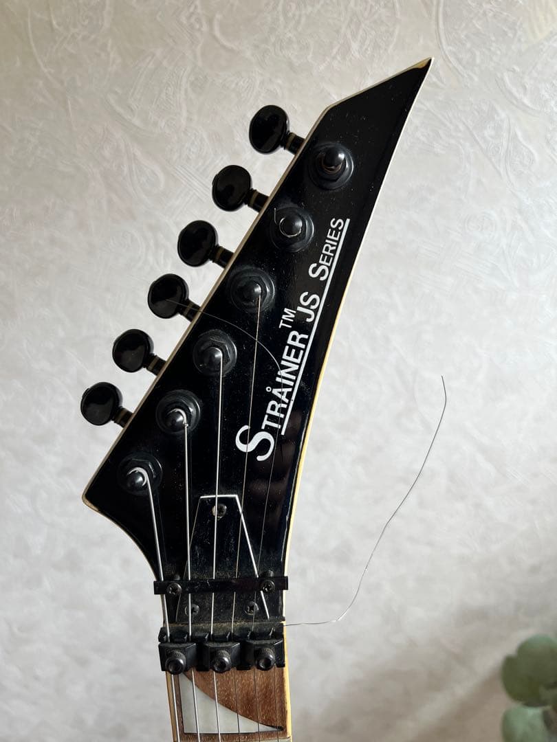 STRAINER JS SERIES エレキギター　音はでました