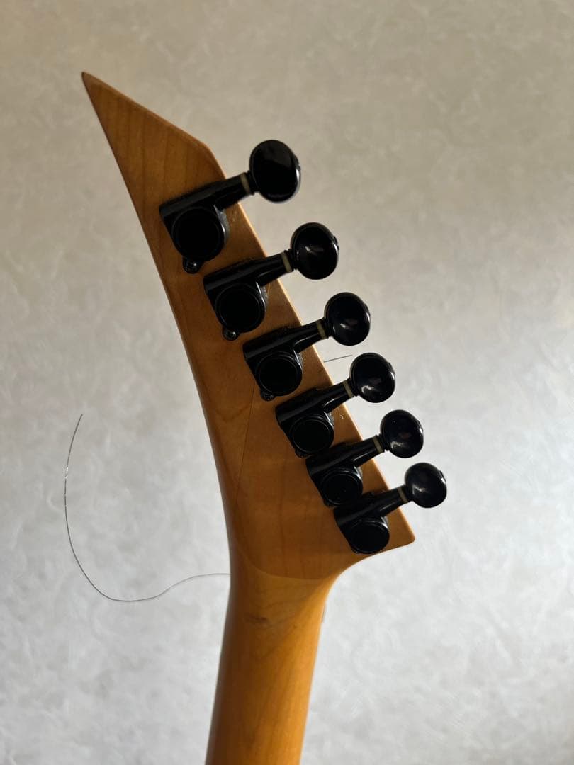 STRAINER JS SERIES エレキギター　音はでました