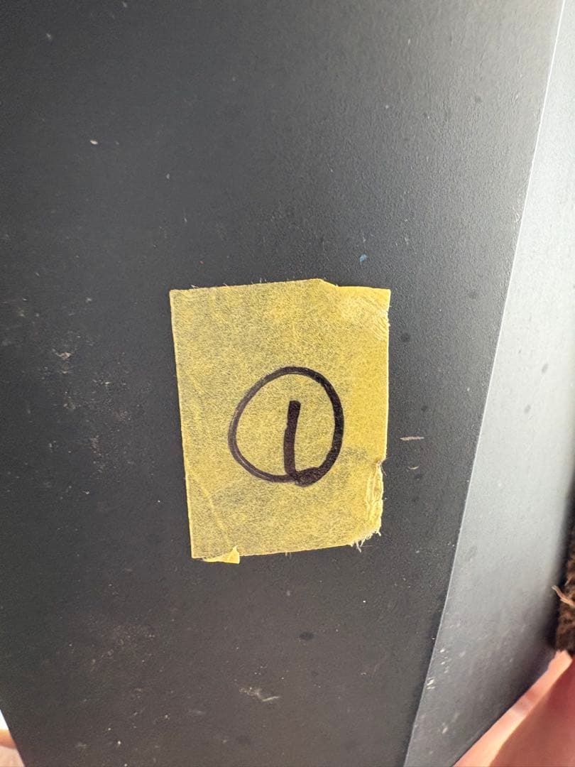 フィロデンドロン　ブラックビレッティアエ　5号　吊り鉢　①