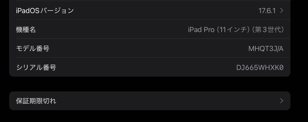 Apple iPad Pro 11インチ 第3世代シルバー 本体