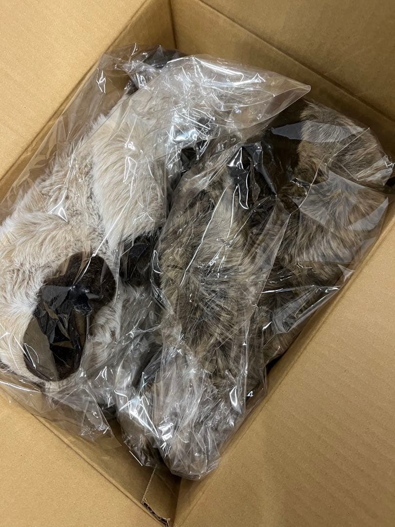 カドリーパスカル　ぬいぐるみ 2体セット　中古