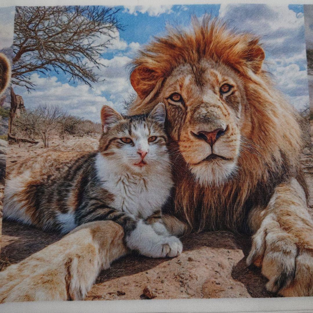 オーダー用猫ちゃんパネルサンプルページ 八