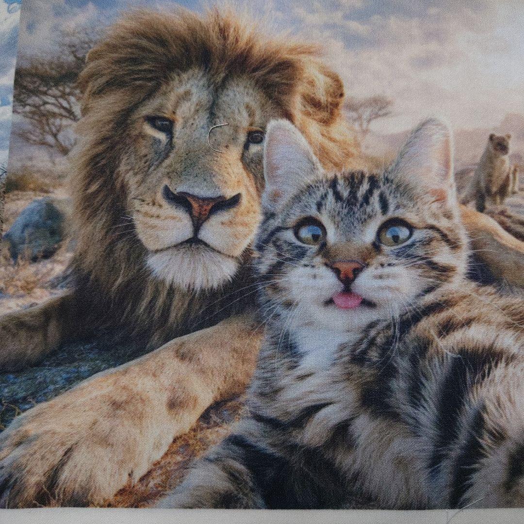 オーダー用猫ちゃんパネルサンプルページ 八