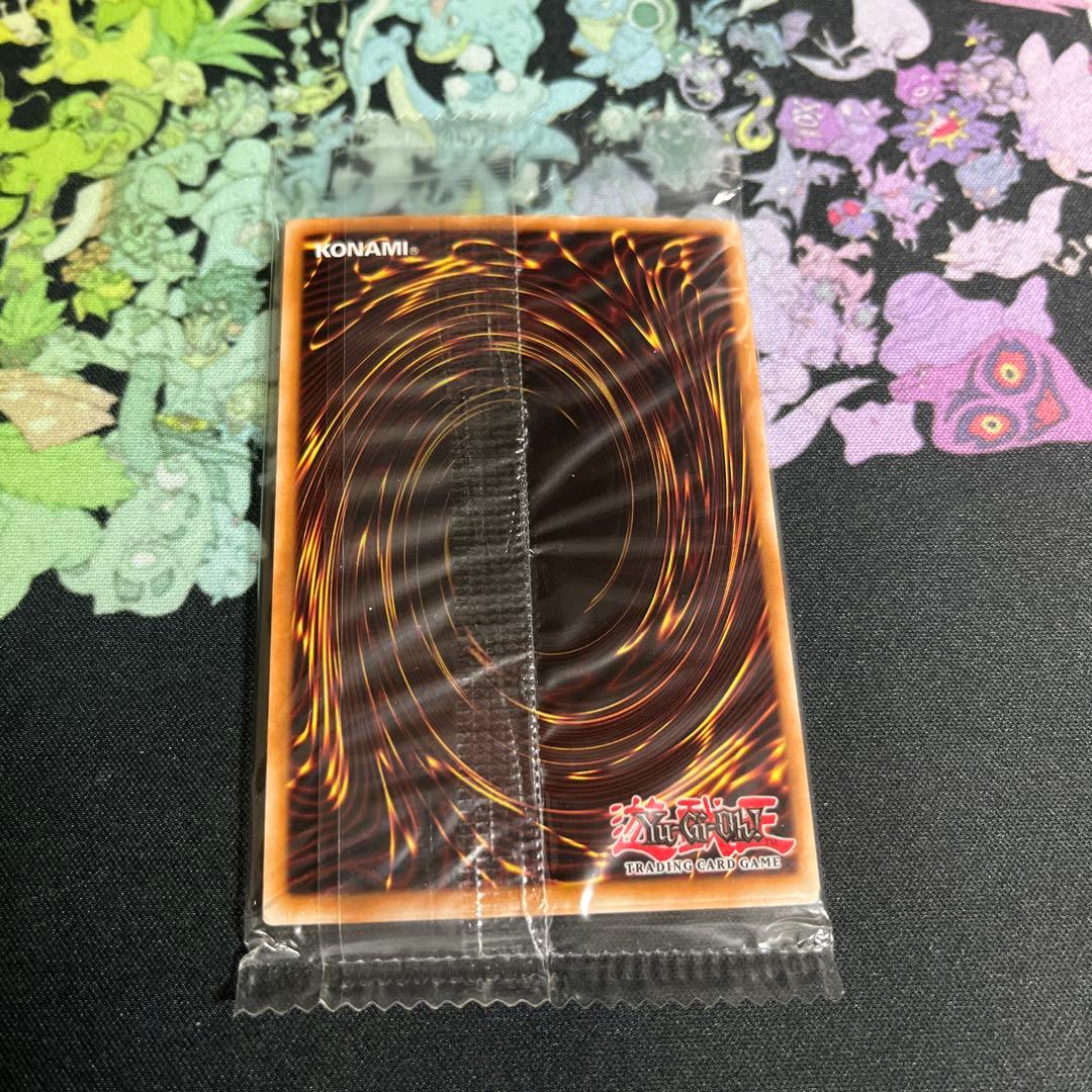 遊戯王　青眼の白龍　シークレット　英語　海外　シークレット　ct14