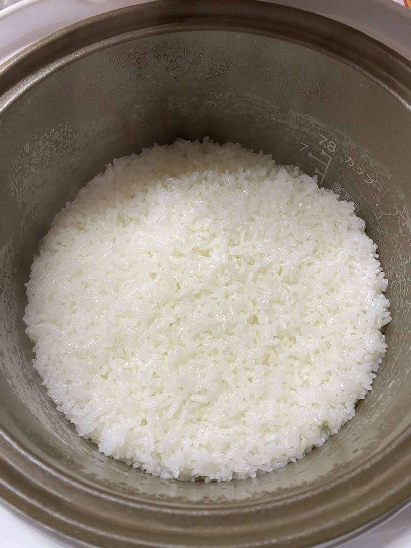 東京ガス　ガス炊飯器 7合炊き　ガスホース付き　ガス釜　都市ガス用