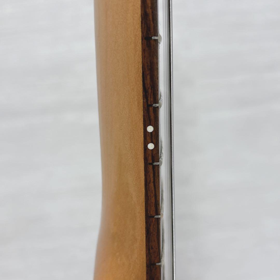 FERNANDES ZO-3 芸達者 アンプ内蔵ギター トレモロアーム付き