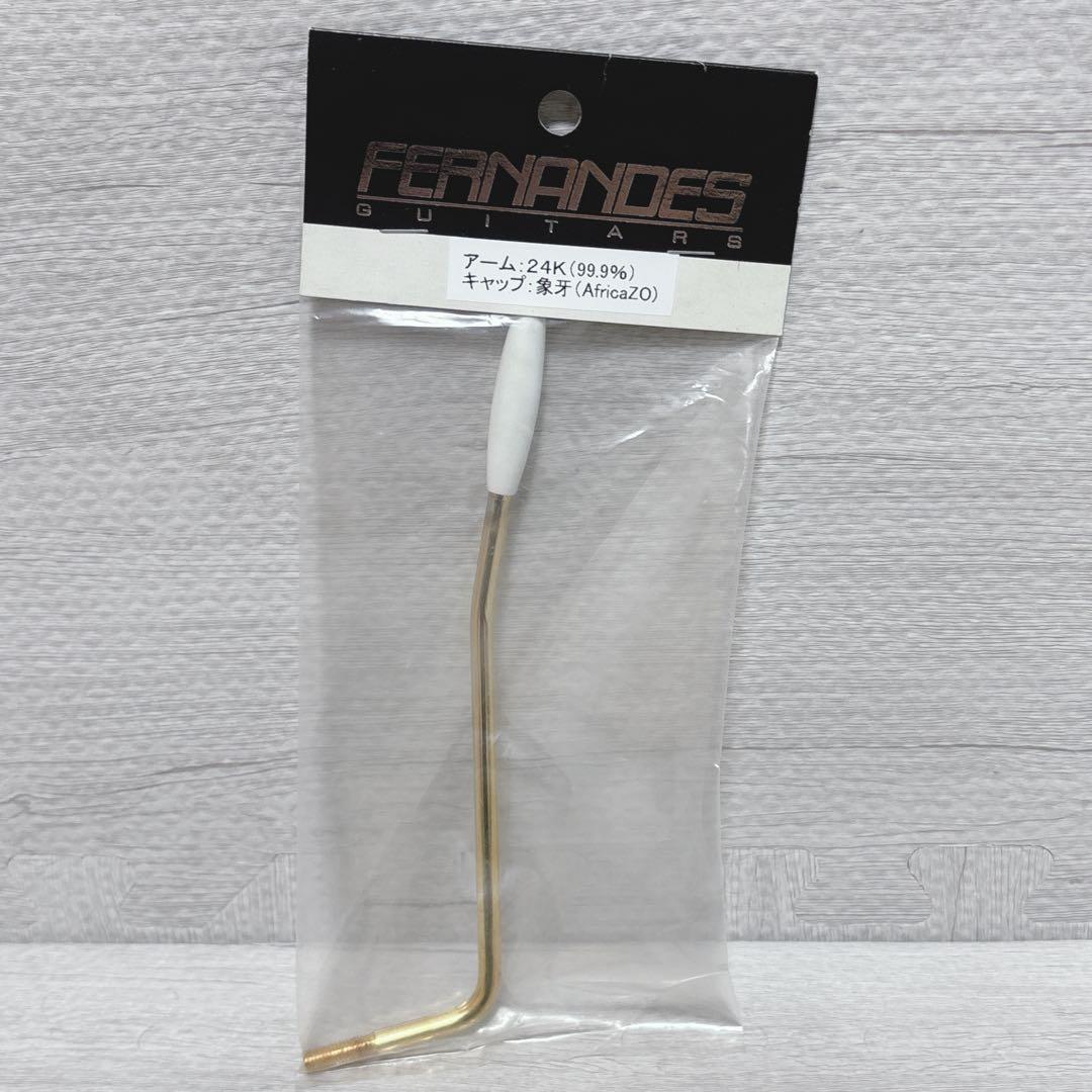FERNANDES ZO-3 芸達者 アンプ内蔵ギター トレモロアーム付き