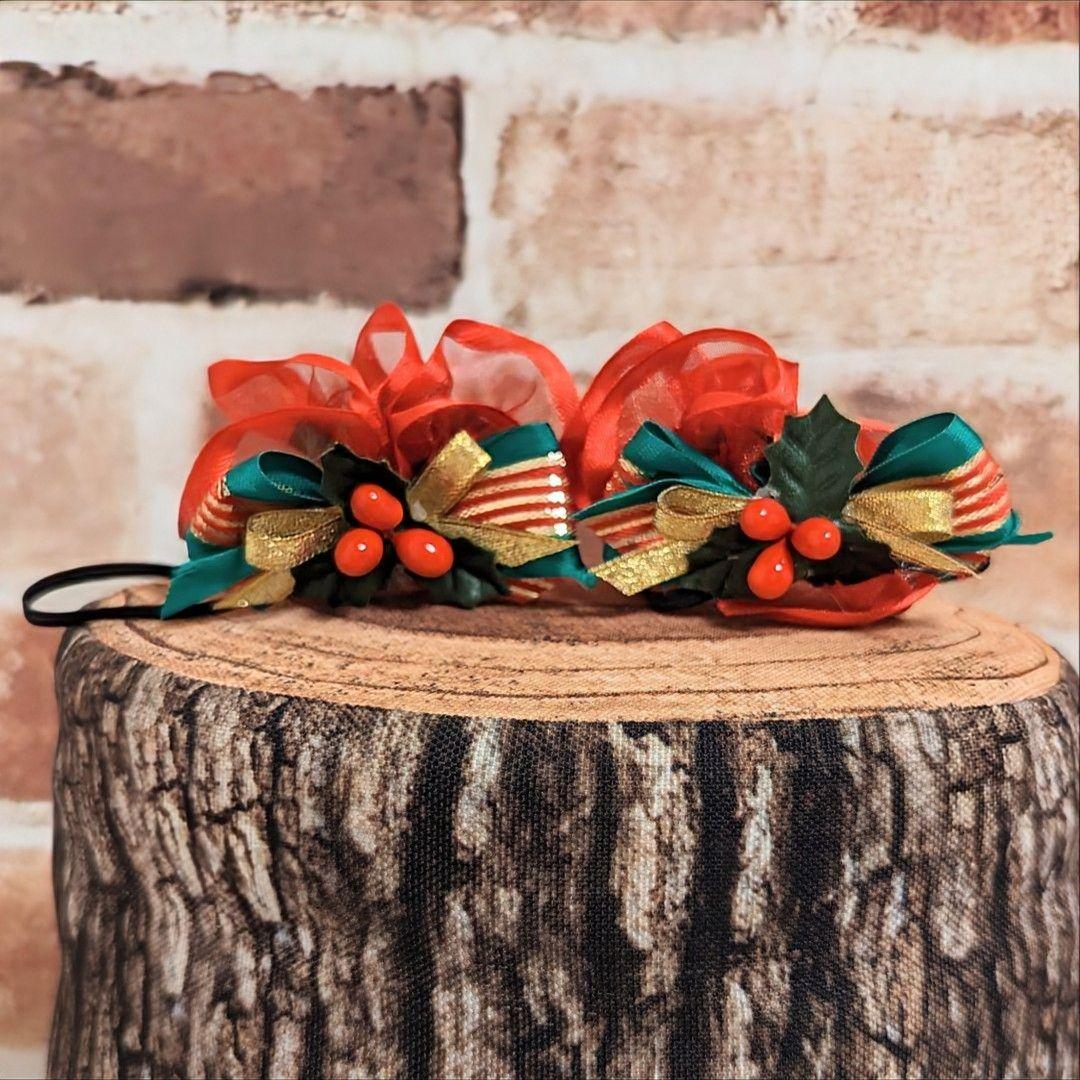 抱っこシャン♡Xmasコスチューム☆レディーのふりした♡おしゃまシャン♡R−B