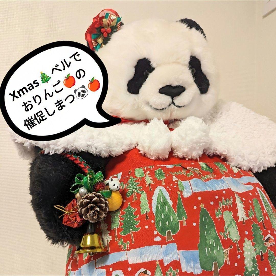 抱っこシャン♡Xmasコスチューム☆レディーのふりした♡おしゃまシャン♡R−B