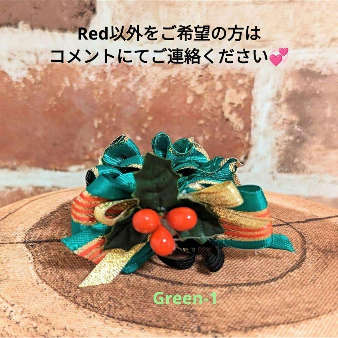 抱っこシャン♡Xmasコスチューム☆レディーのふりした♡おしゃまシャン♡R−B