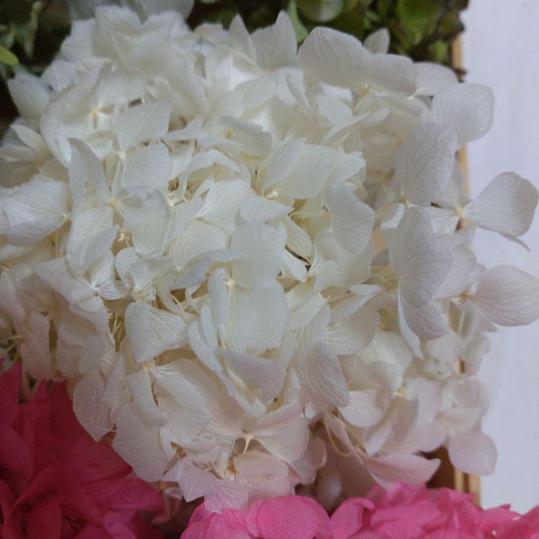 紫陽花ドライフラワーフラワー♪