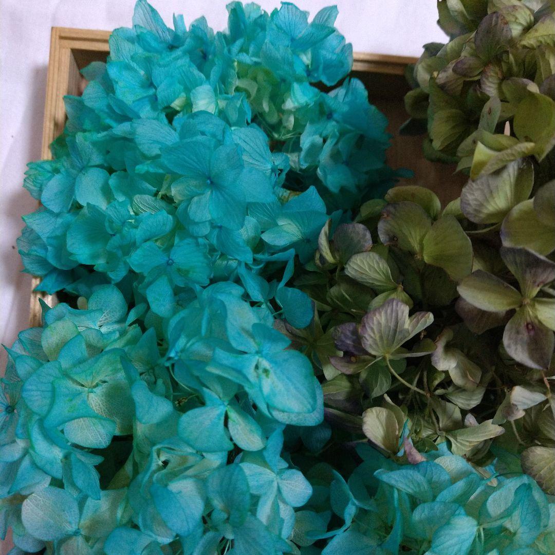 紫陽花ドライフラワーフラワー♪