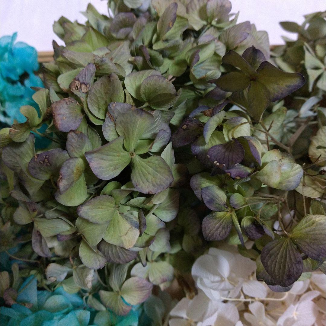 紫陽花ドライフラワーフラワー♪