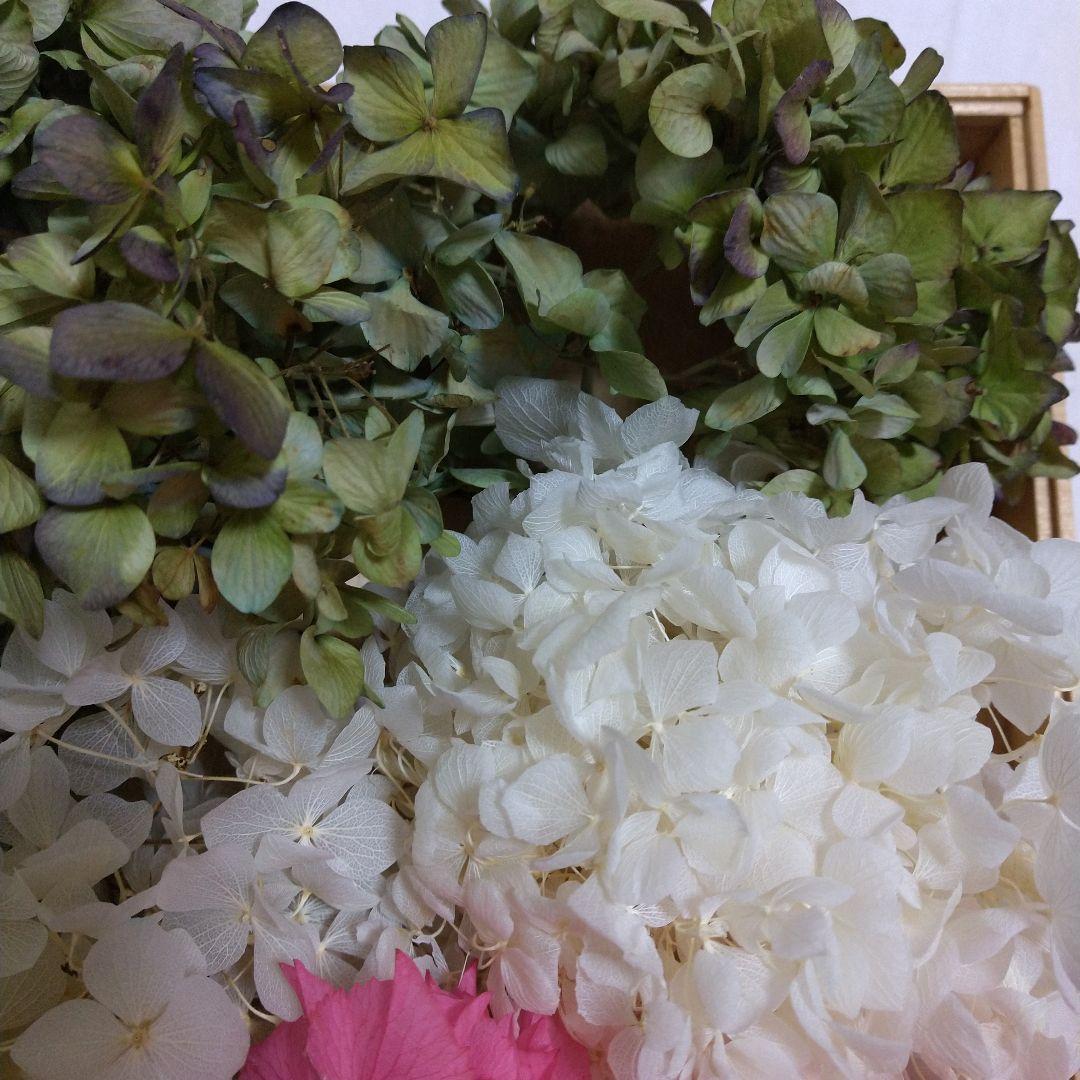紫陽花ドライフラワーフラワー♪