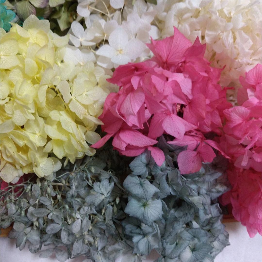 紫陽花ドライフラワーフラワー♪