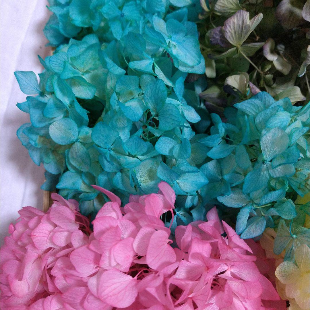 紫陽花ドライフラワーフラワー♪