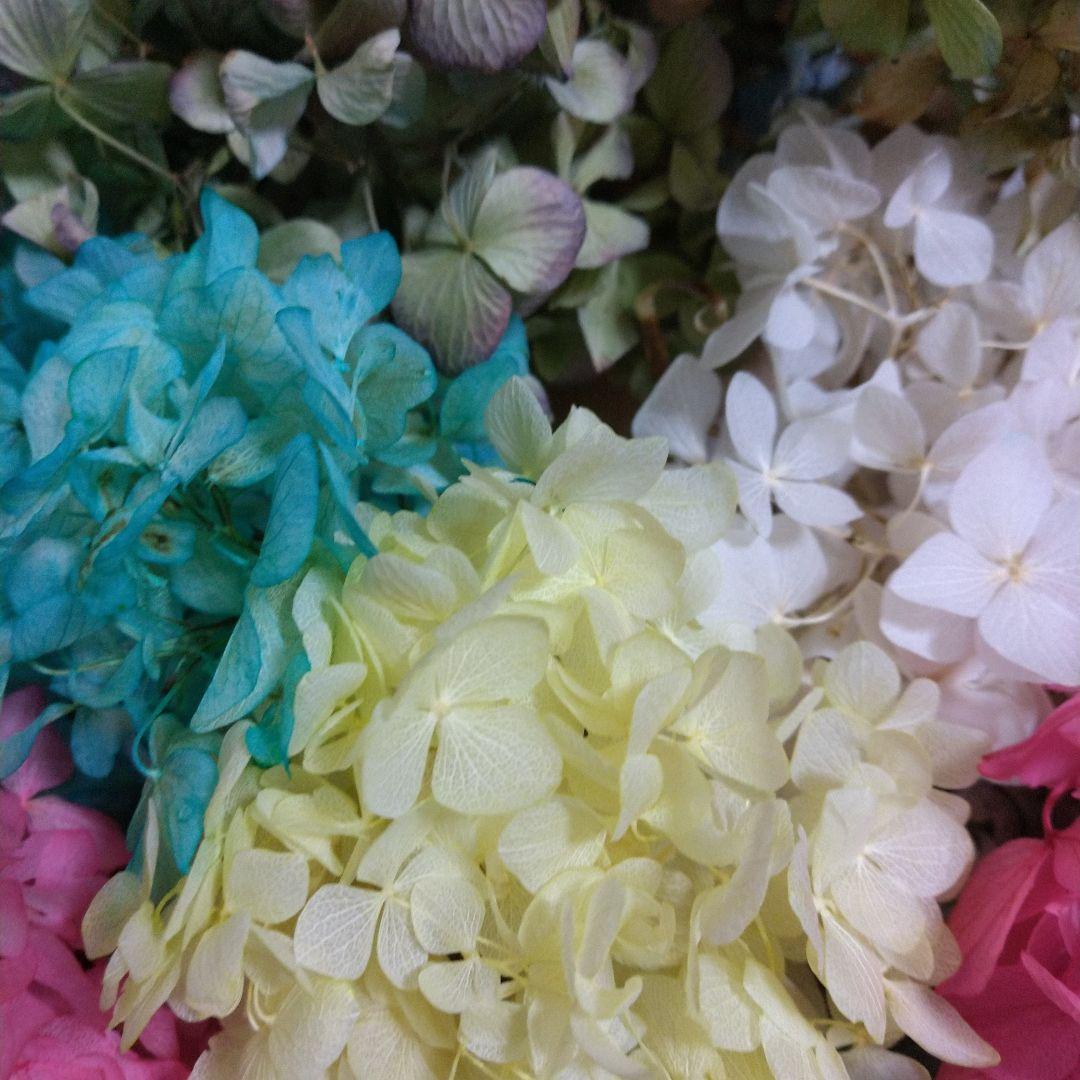 紫陽花ドライフラワーフラワー♪