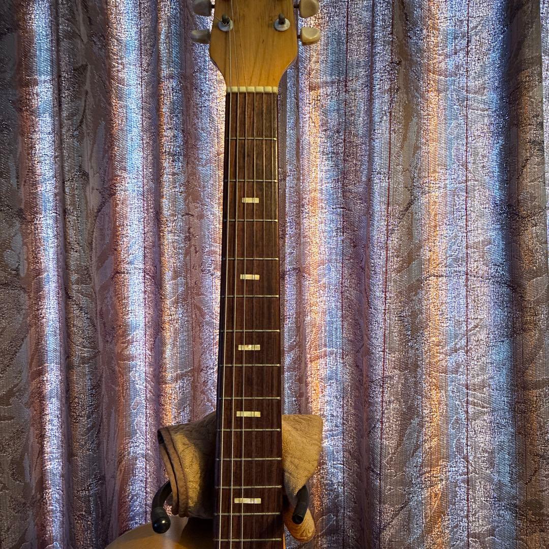 TEISCO MODEL14 フルアコースティック