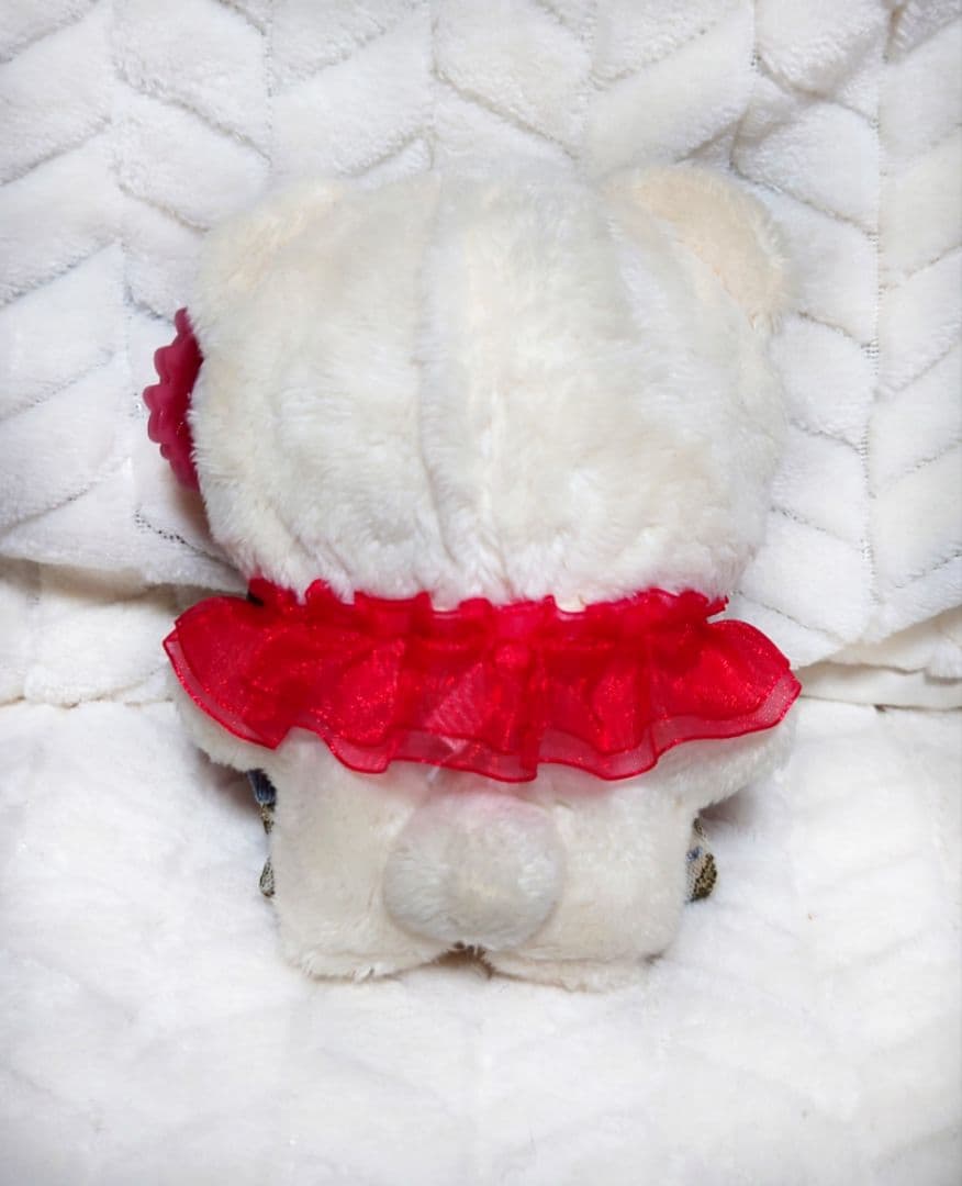 天城一彩 いつぬい 前髪クリップ リボン