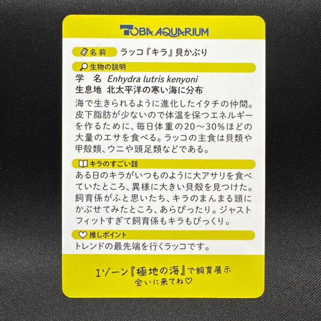 最安値‼️鳥羽水族館 70周年コレクションカード キラ レアカード　ホロ