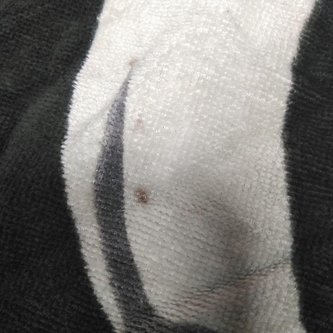 ELLEGARDENエルレガーデン2005-2006年タオル日本製今治タオル新品