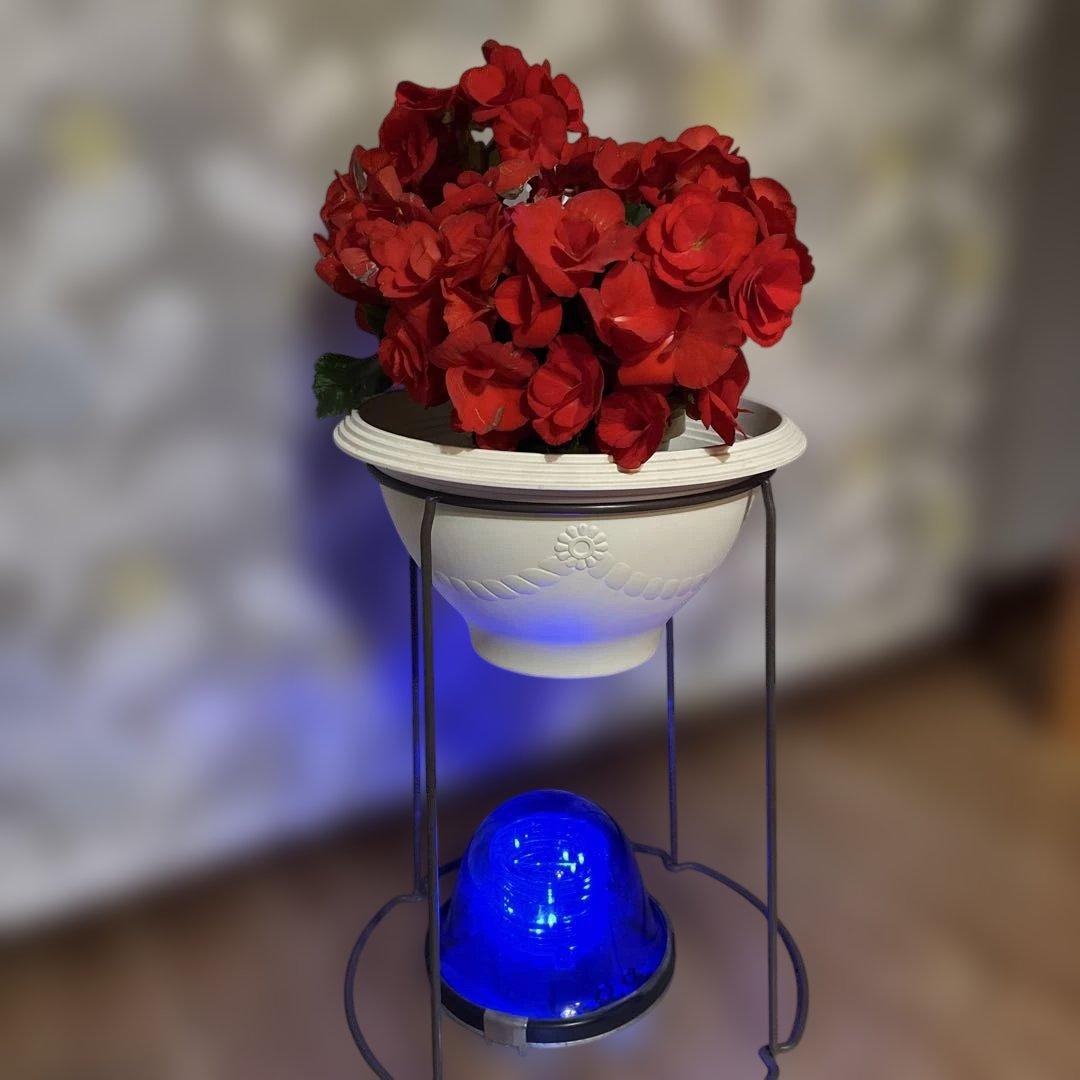 空港灯火　誘導灯　セントレア空港