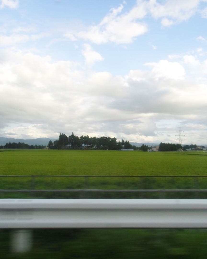 デジタルカメラ Nikon coolpix s2900