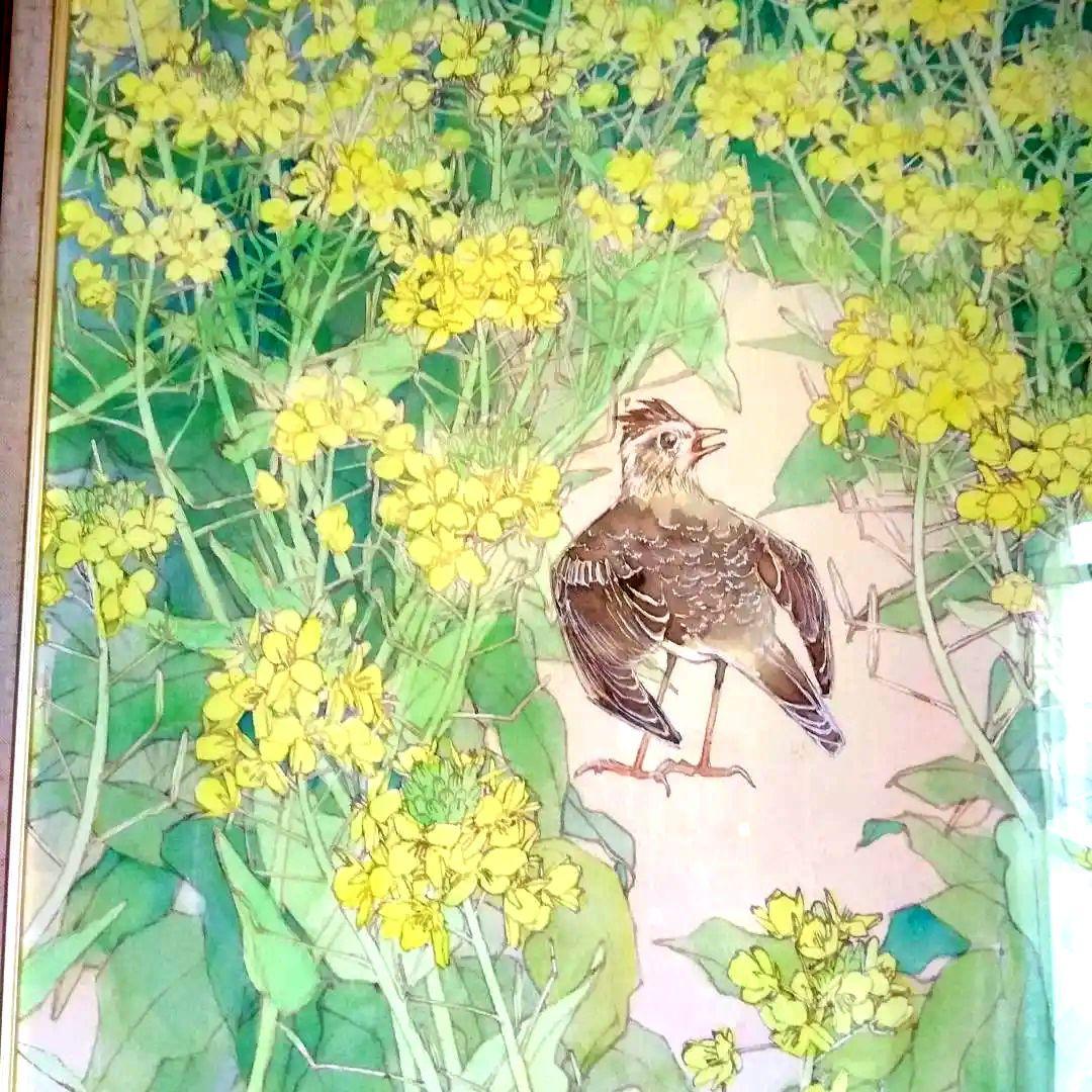 タイムセール／水彩画花鳥／菜の花畑・ひばり鳥