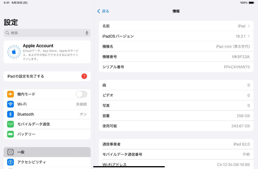 iPad mini 6 SIMフリー セルラー 256GB スペースグレイ
