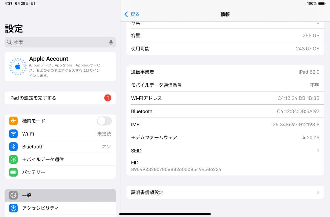 iPad mini 6 SIMフリー セルラー 256GB スペースグレイ