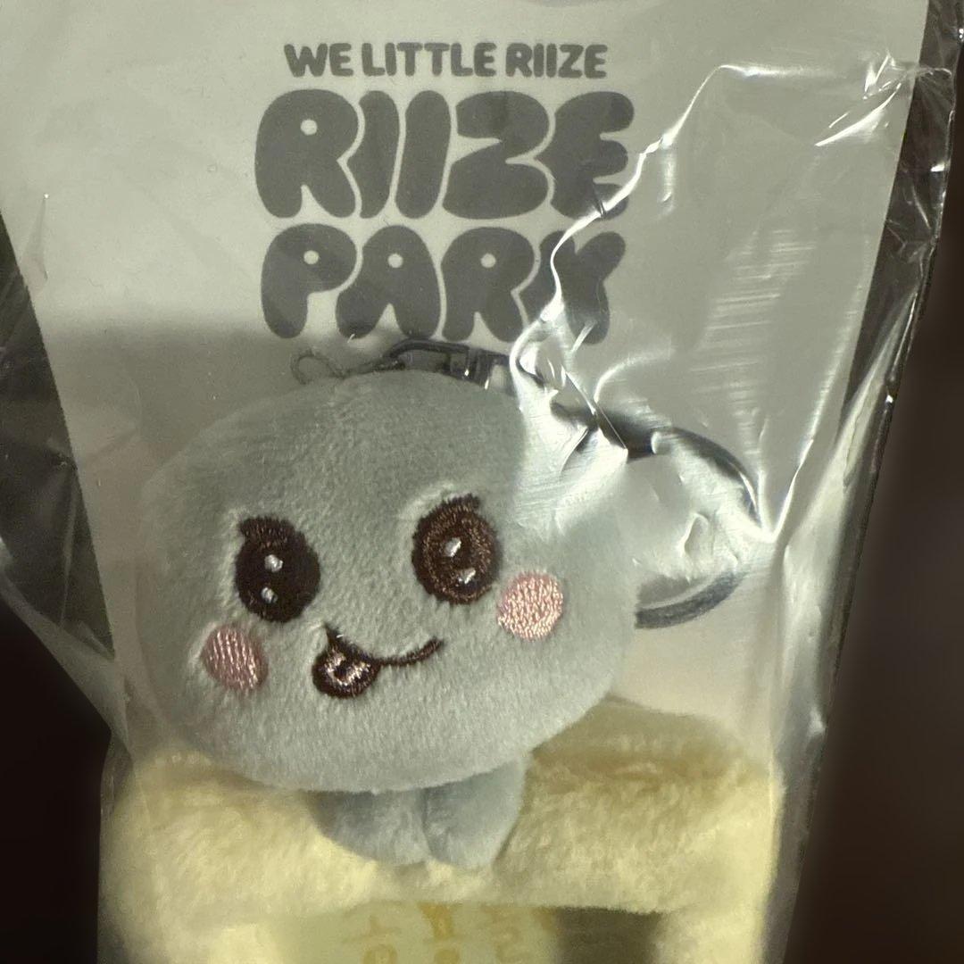 新品　RIIZE ウンソク ソンヨンドリ　フォトカードホルダー トレカケース