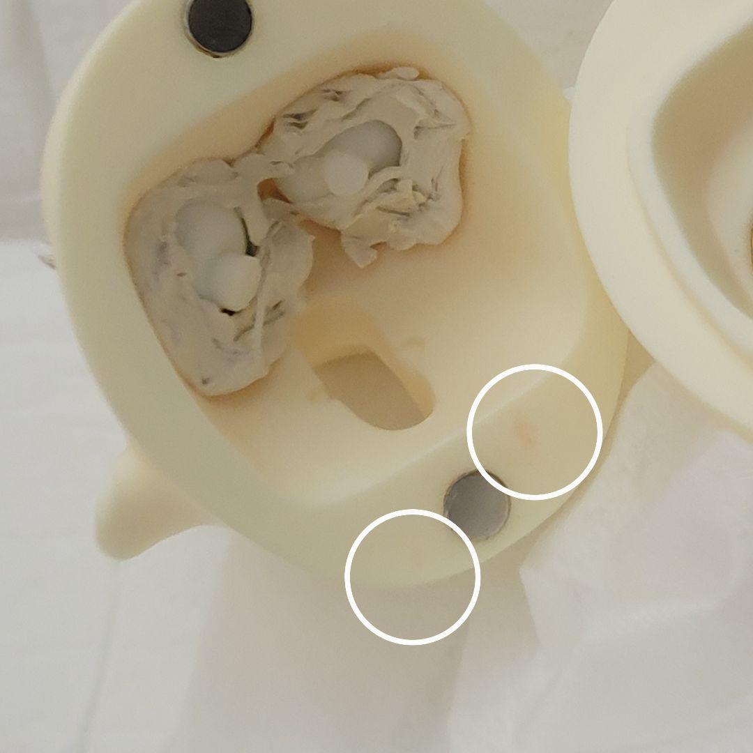 Dreaming doll misono ヘッド1/4サイズ