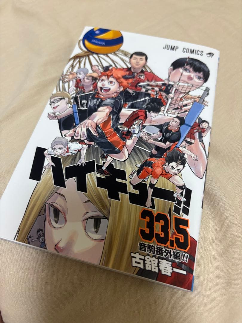 ⚠️値下げ不可⚠️ハイキュー!! ごみ捨て場の決戦 映画特典 クリアポスター