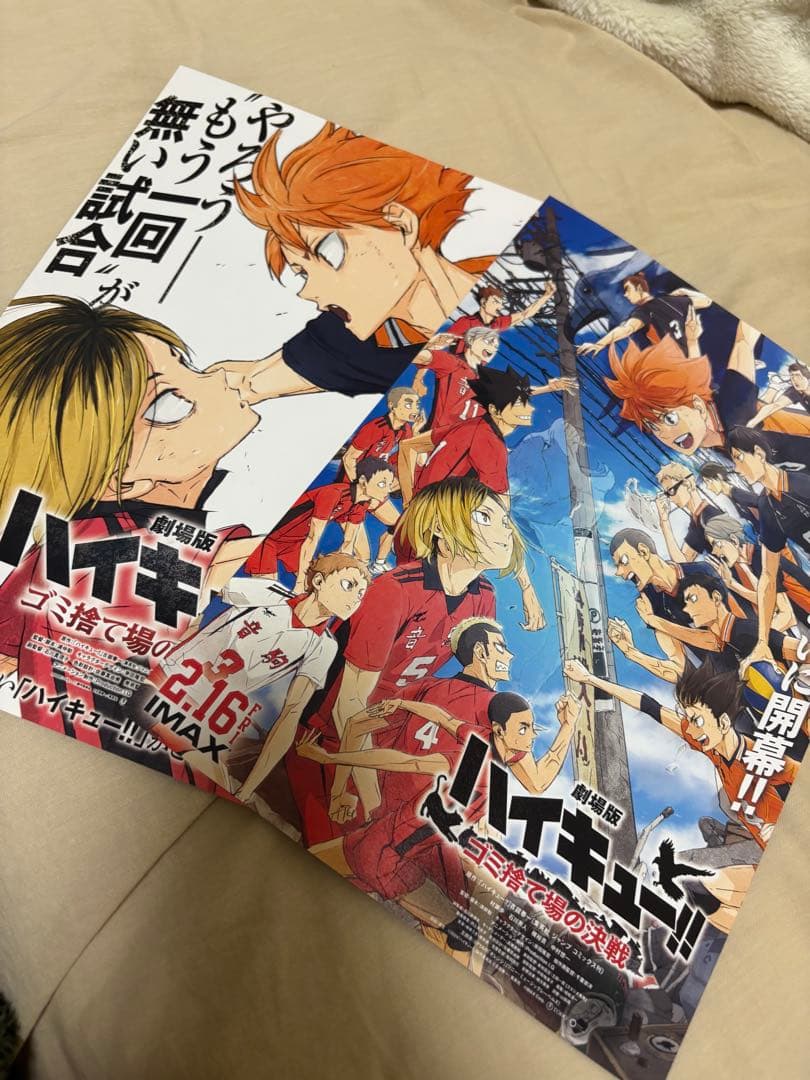 ⚠️値下げ不可⚠️ハイキュー!! ごみ捨て場の決戦 映画特典 クリアポスター