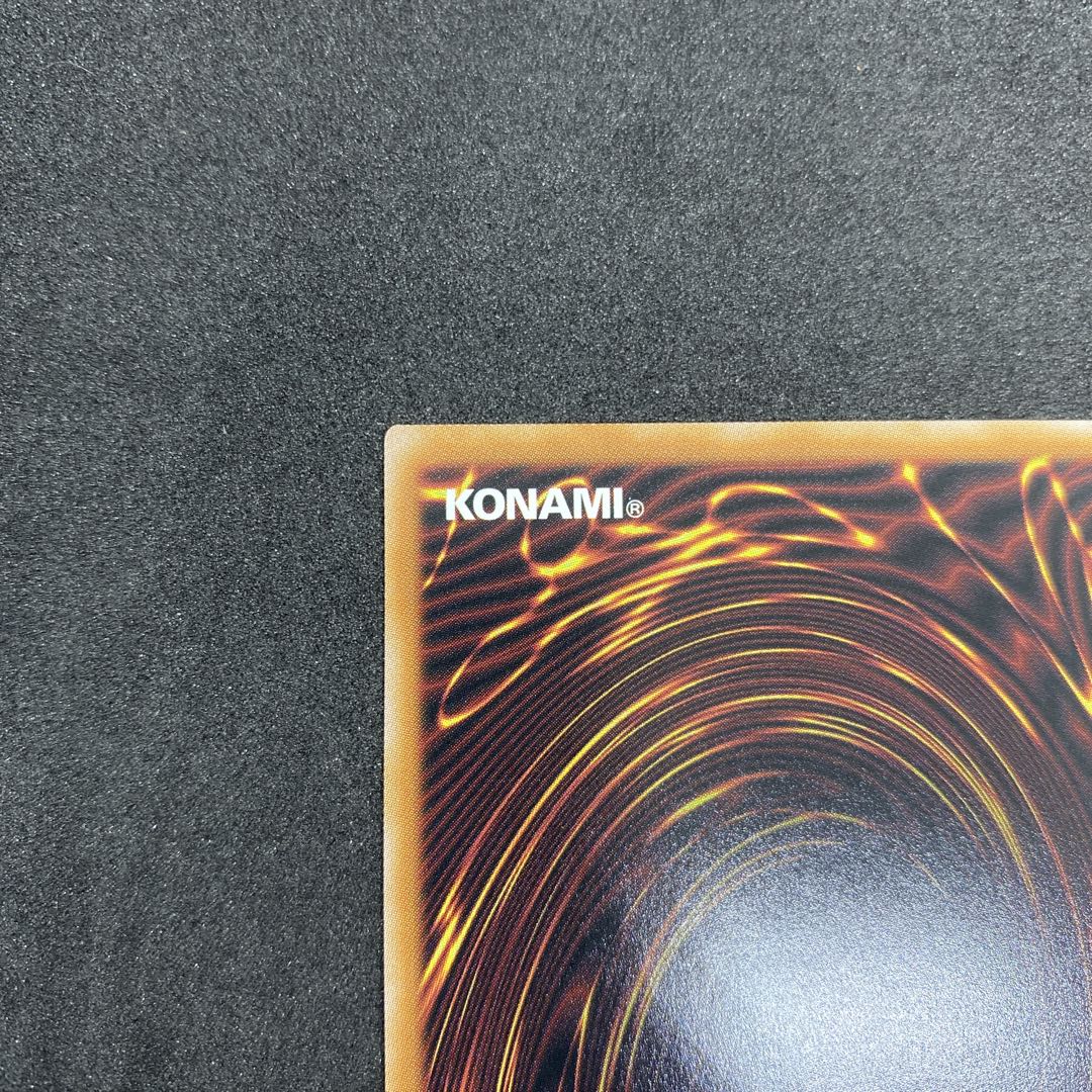 凍てし心が映す神影　レヴシャドール・フュージョン　プリシク