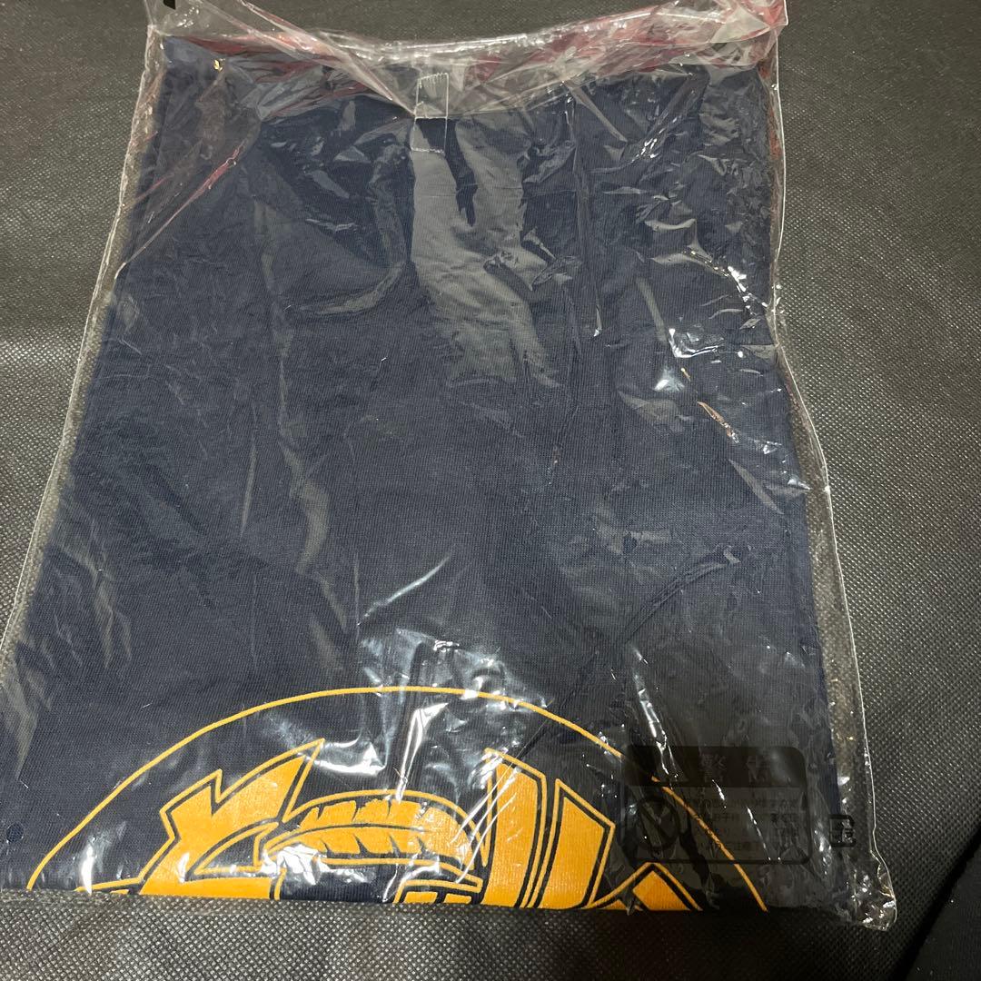 NOEL GALLAGHER'S HIGH FLYING BIRDS Tシャツ