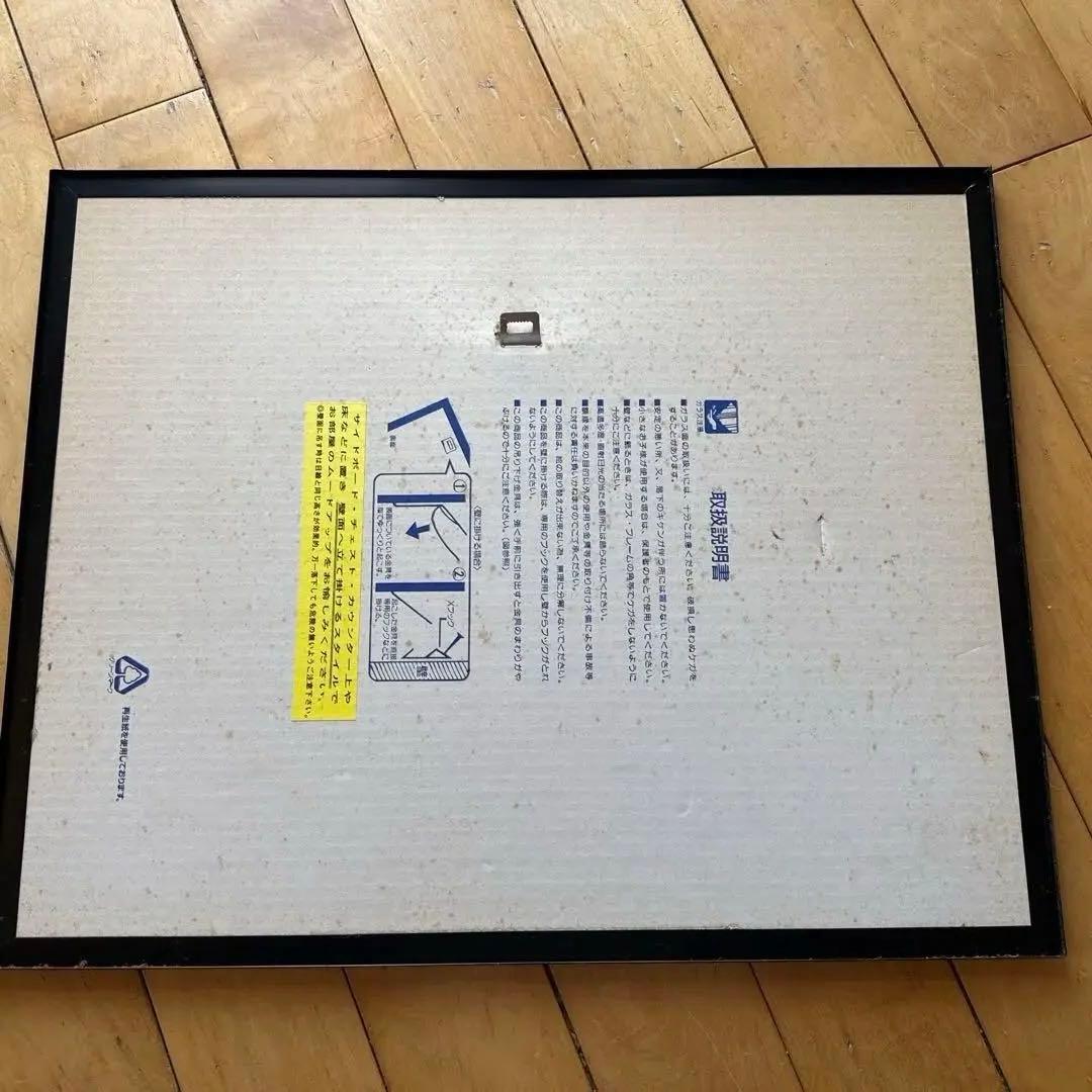 ボトルノーズド ドルフィンズ TOM BRAKEFIELD 額入り　レア