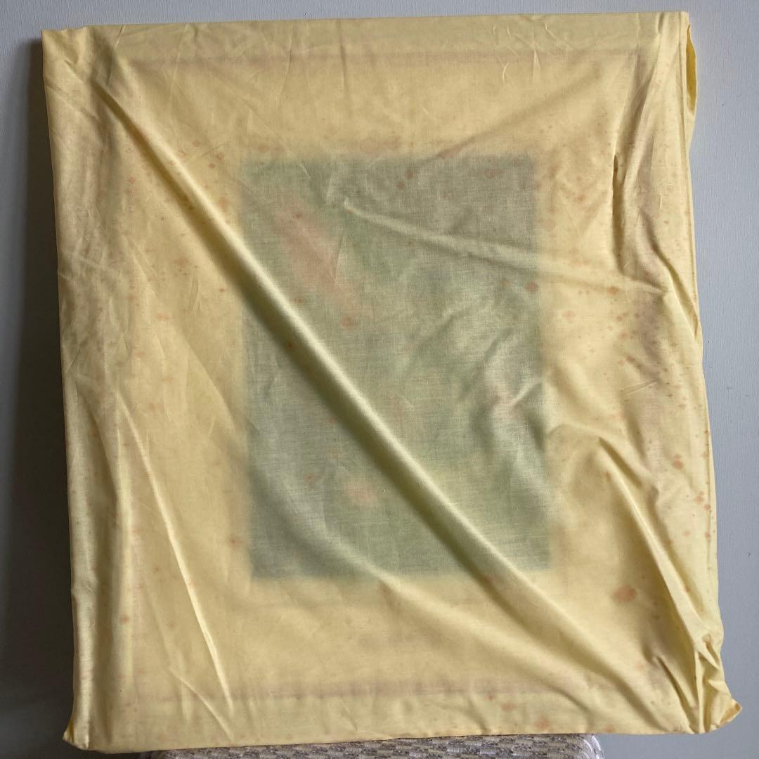 期間限定値下　AURORA 版画　絵画