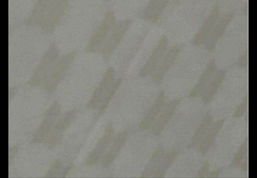 BTS 日本公式FC購入　ジャンプ傘(カバー付き)黒　レアです