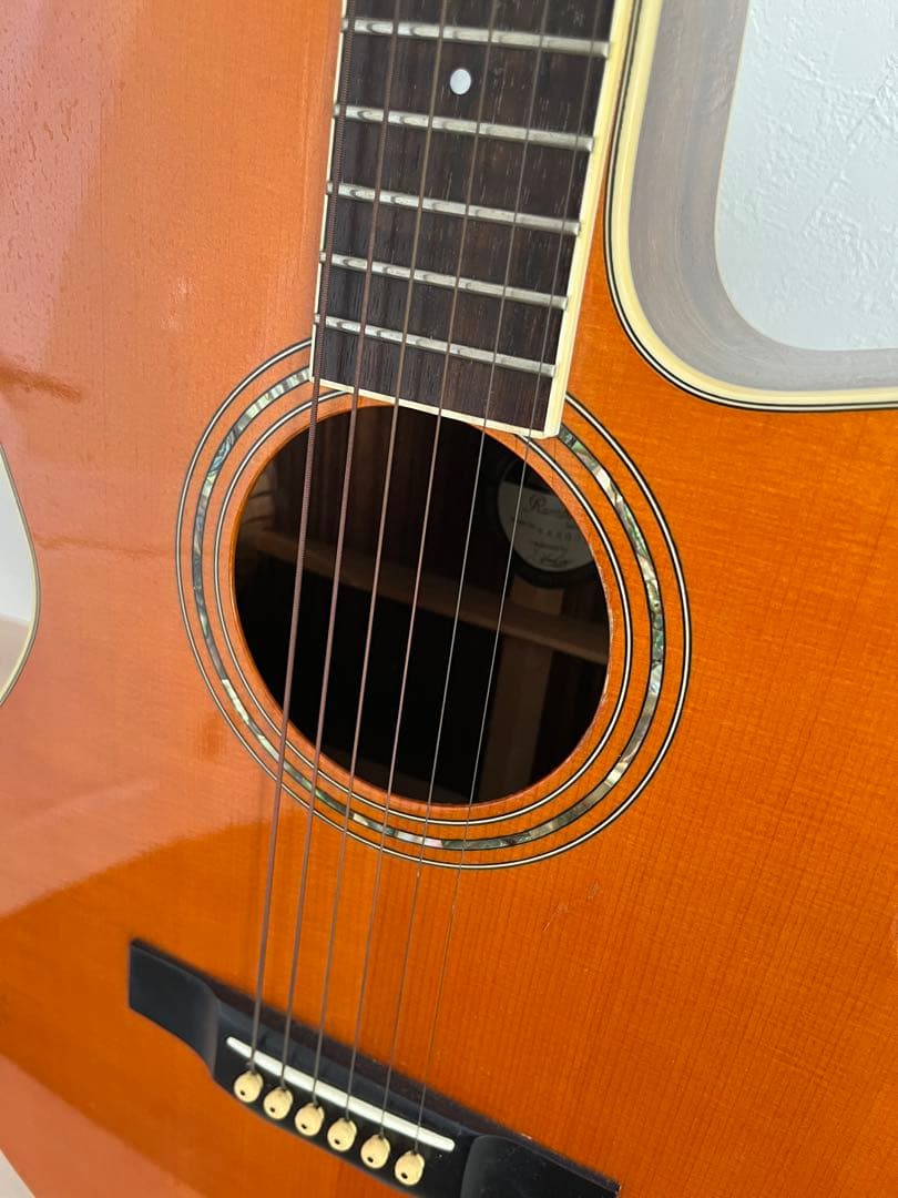 Morris Rumbler RA800P アコースティックギター