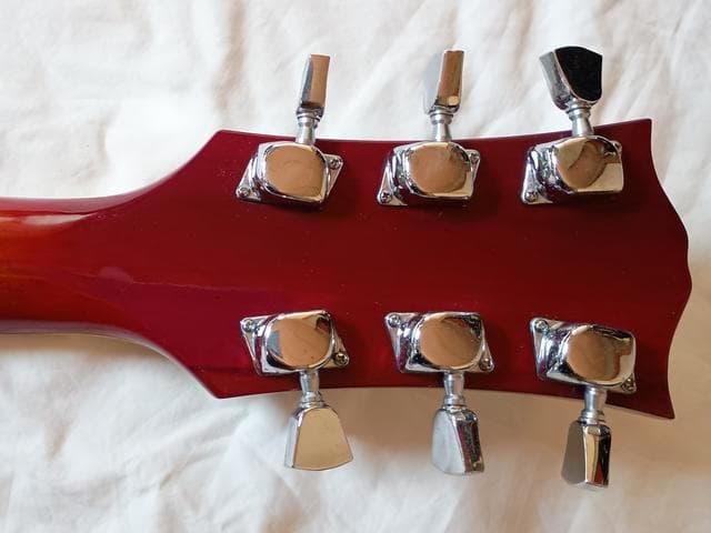 Fresher レスポール カスタム タイプ FL-331? ソフトケース