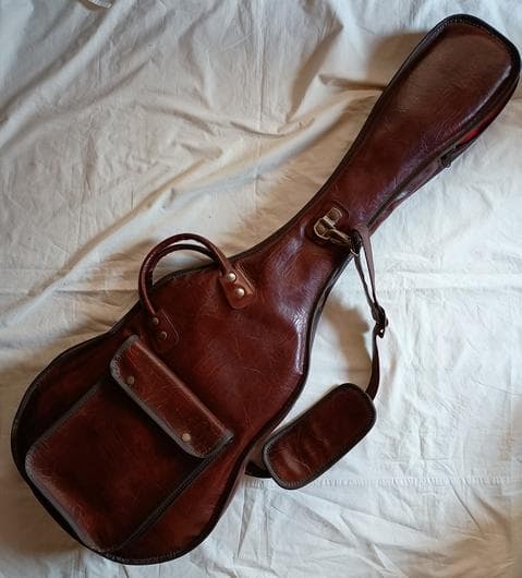 Fresher レスポール カスタム タイプ FL-331? ソフトケース