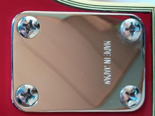 Fresher レスポール カスタム タイプ FL-331? ソフトケース