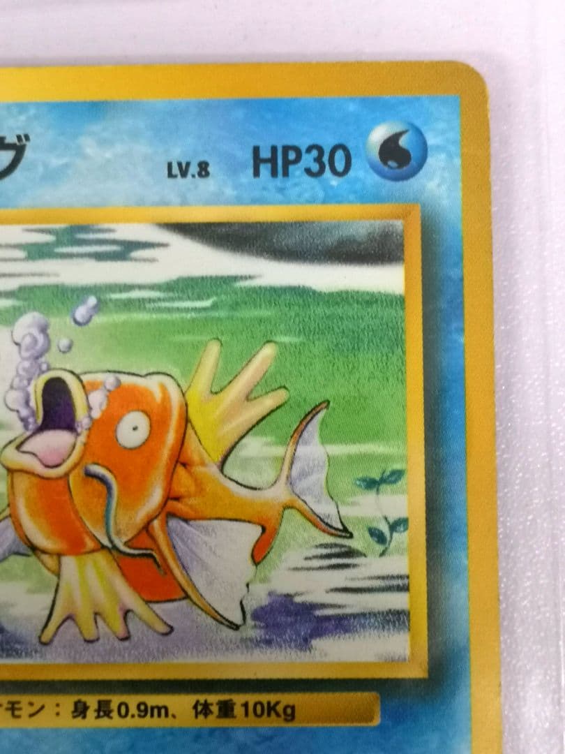 【美品】コイキング 初版マークなし ☆ポケモンカード 第1弾拡張パック