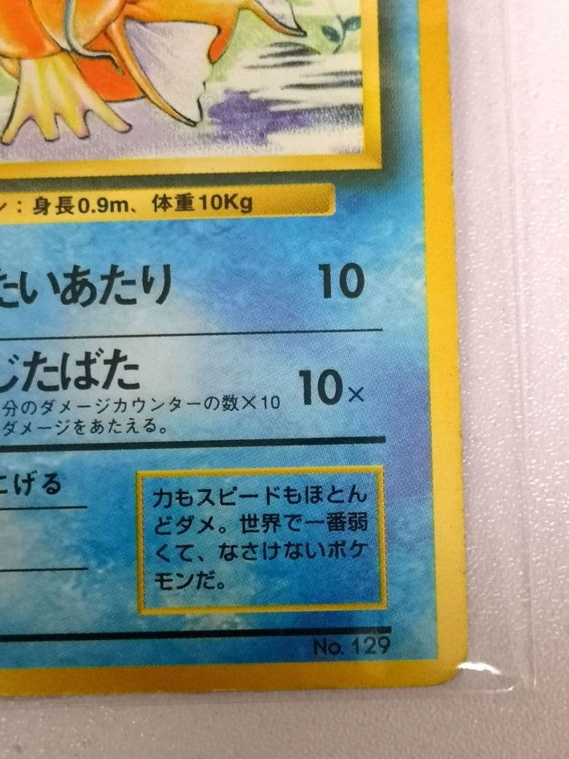 【美品】コイキング 初版マークなし ☆ポケモンカード 第1弾拡張パック